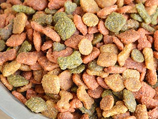 寵物食品